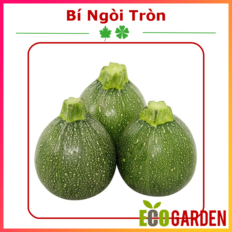 Hạt Giống Bí Ngòi Trái Tròn (1G) (ECO.060)