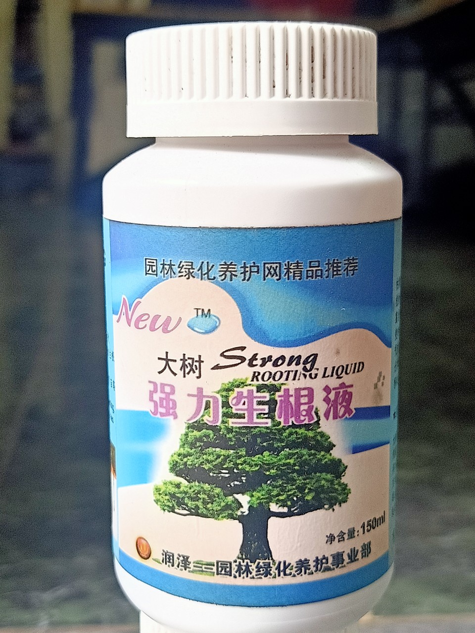 Kích rễ đài loan siêu mạnh chậu 100ml