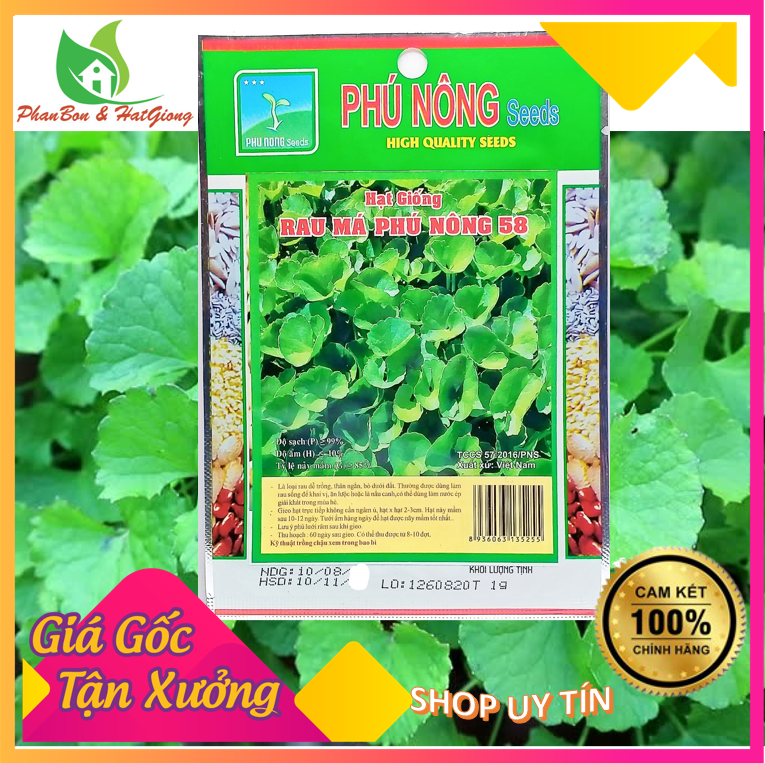 Hạt Giống Rau Má Chất Lượng Cao 1Gr - Phú Nông Seeds  | Shop Phân Bón, Hạt Giống Rau Củ Quả, Xơ Dừa, Mùn Dừa, Đất Sạch Trồng Rau Sạch Tp. Hồ Chí Minh