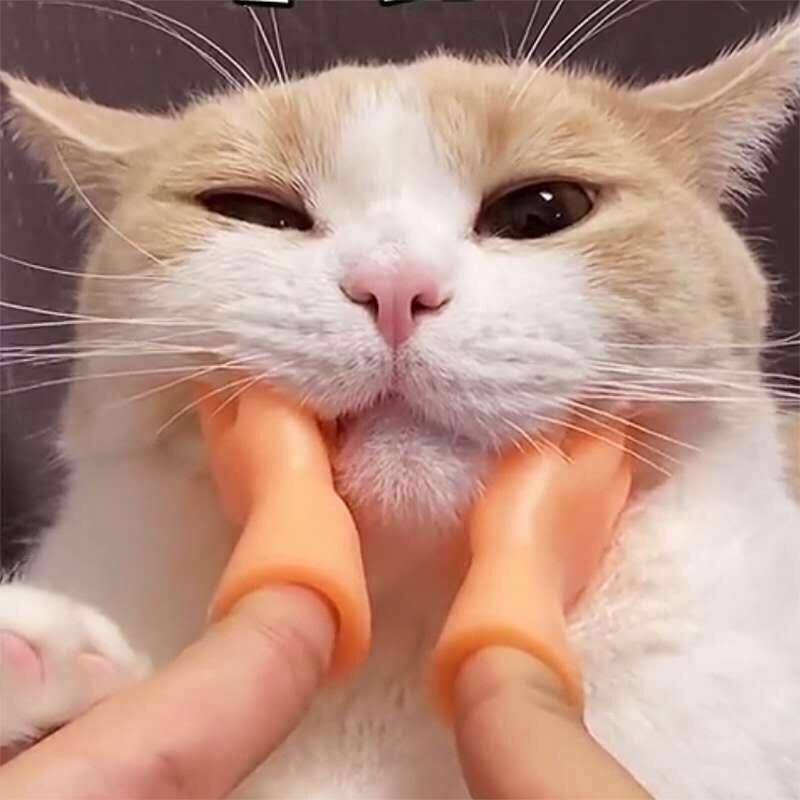 Bàn tay matxa gãi ngứa cho mèo, đồ gãi ngứa cho mèo