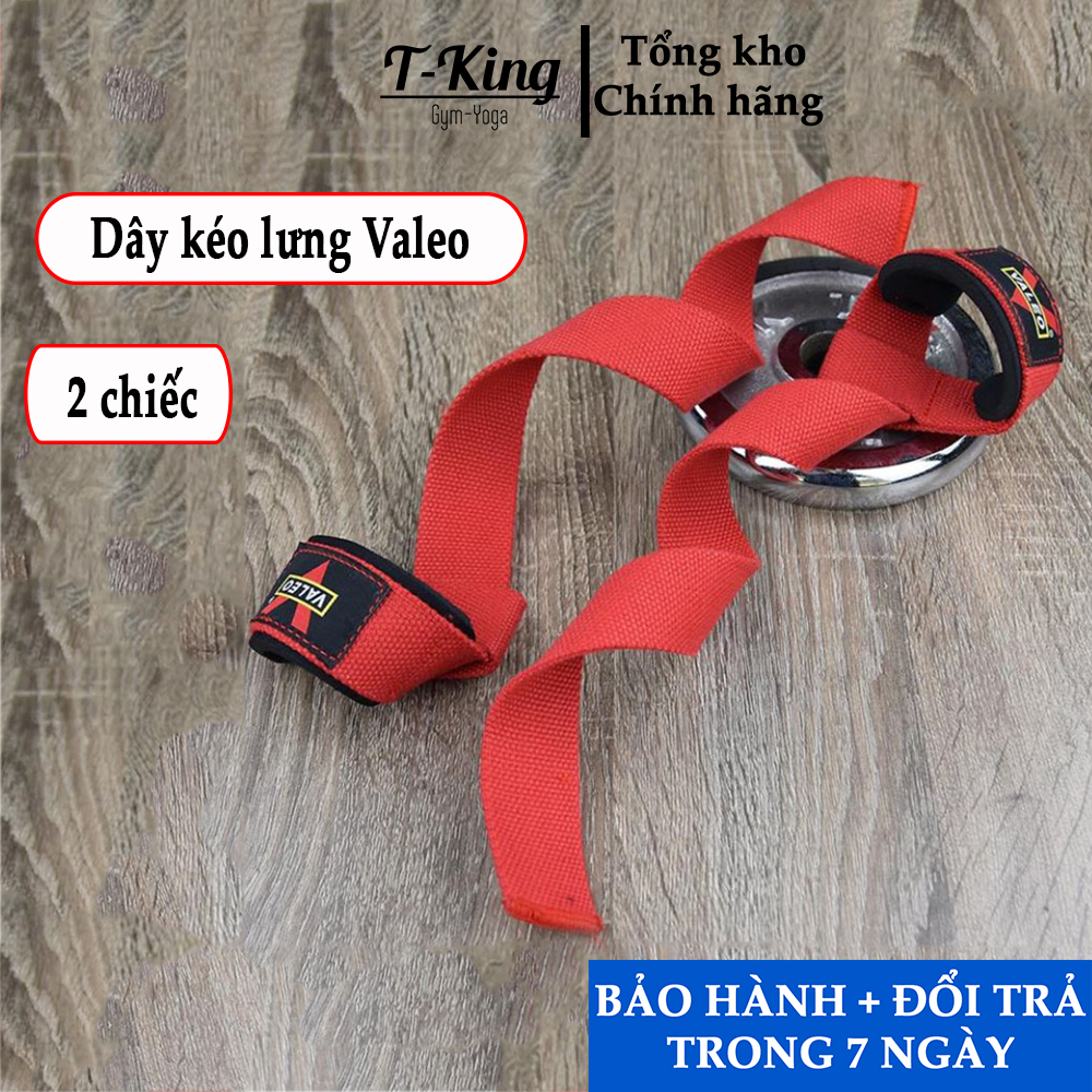 Dây kéo lưng tập GYM Valeo 2 cái - Cực bền