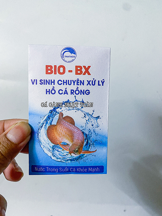 "hoàn tiền đến 10%" men vi sinh chuyên xử lý hồ cá rồng 2g bio bx thataco
