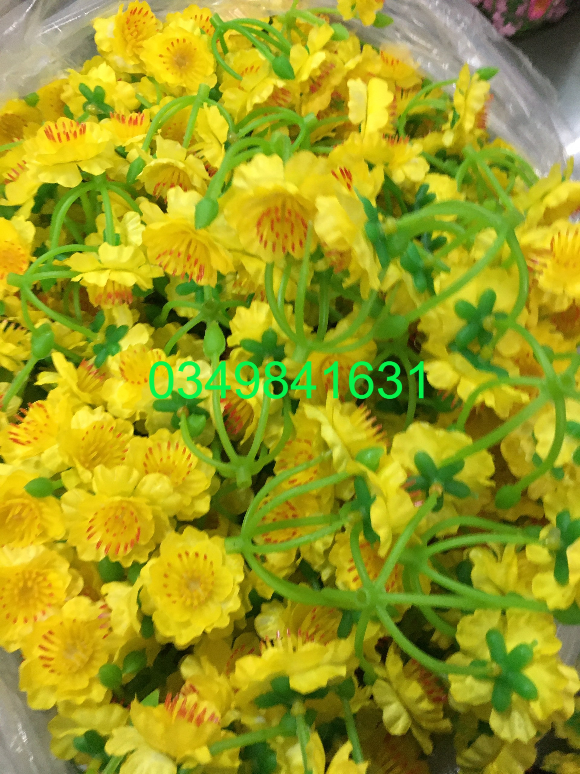 Sỉ 1kg hoa đào, mai chùm có nụ lộc trang trí tết siêu rẻ