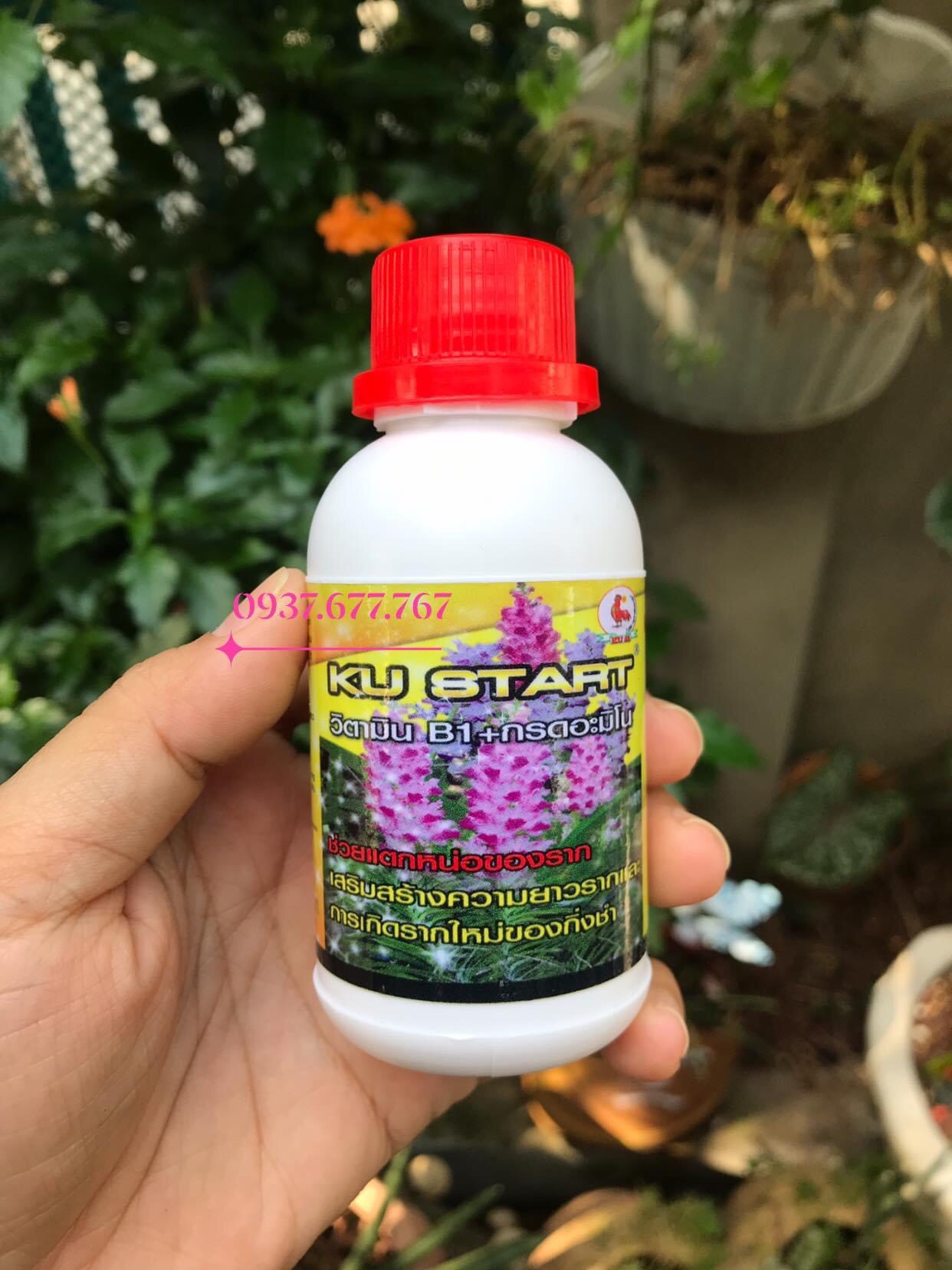 Kích rễ thái lan, ku-start b1, siêu phẩm 3 trong 1, kích rễ, kích hoa, kích chồi, chai 100ml chiết lẻ