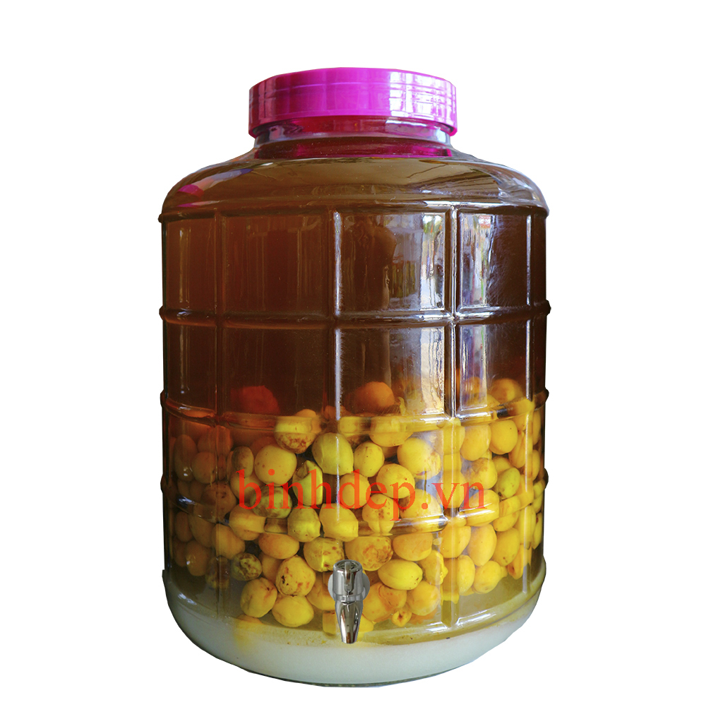 Bình thuỷ tinh ngâm rượu 35 lít có vòi giá rẻ nắp nhựa có dây xách