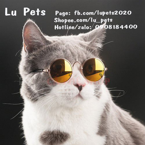 Mắt Kính Cho Chó Mèo | Kính Mắt Thời Trang Cho Chó Mèo - Kiếng cho Chó mèo