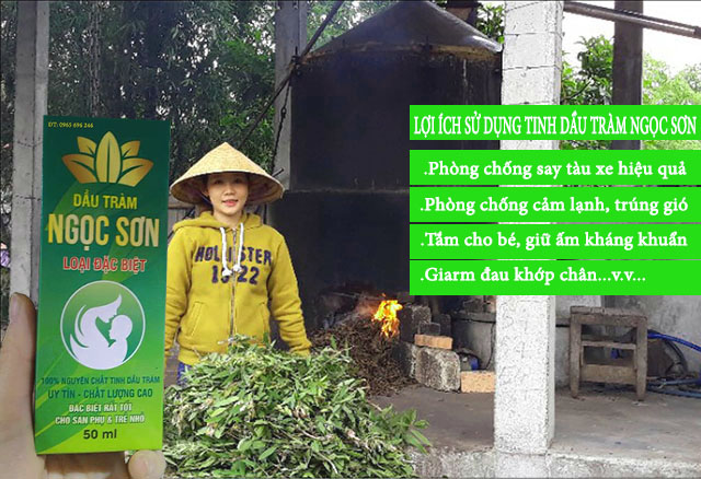 Dầu tràm nguyên chất 100% chiết xuất từ cây tràm gió