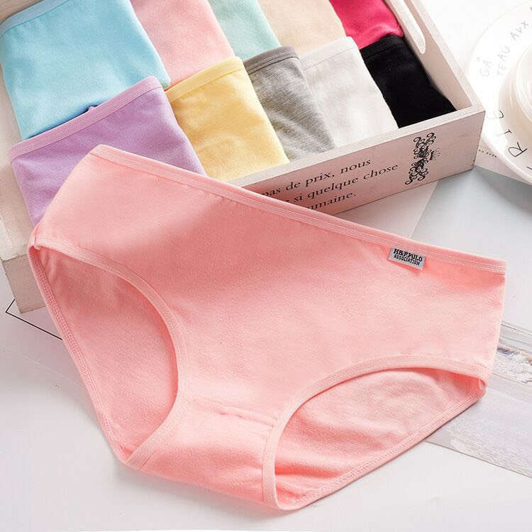 Quần lót cotton màu trơn nữ_quần lót pulo co giãn mềm mịn