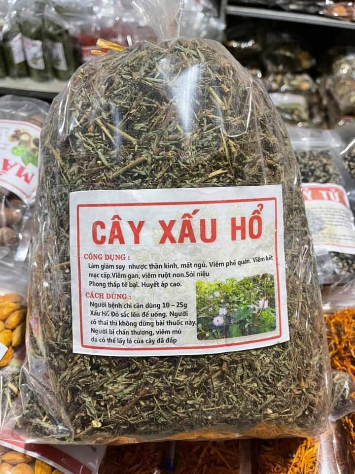 GIÁ TỐT Cây xấu hổ khô đẹp dành cho người xương khớp