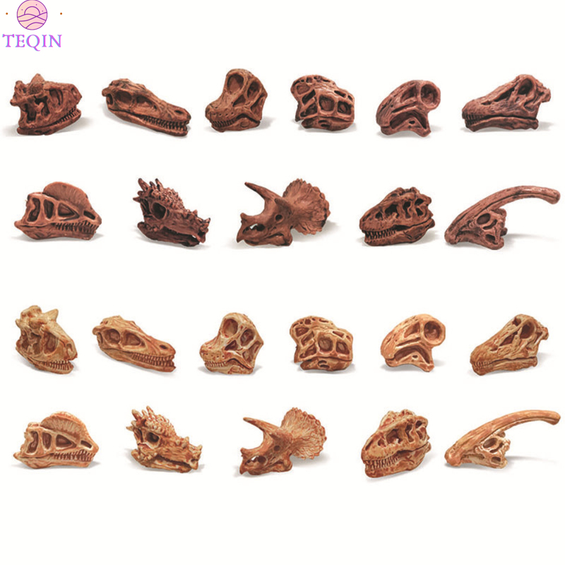 TEQIN Dinosaur Skull Fossil Model Toys Prehistoric Mammals Bones Figure