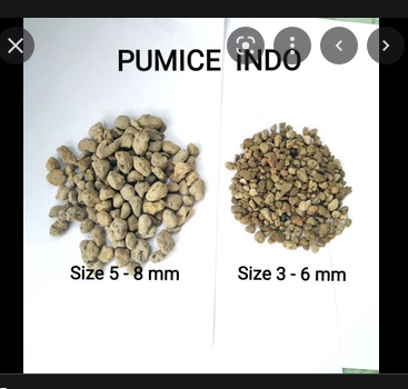 Đá pumice 1kg (dùng để trộn với đất làm giá thể,hoặc rải lên bề mặt)