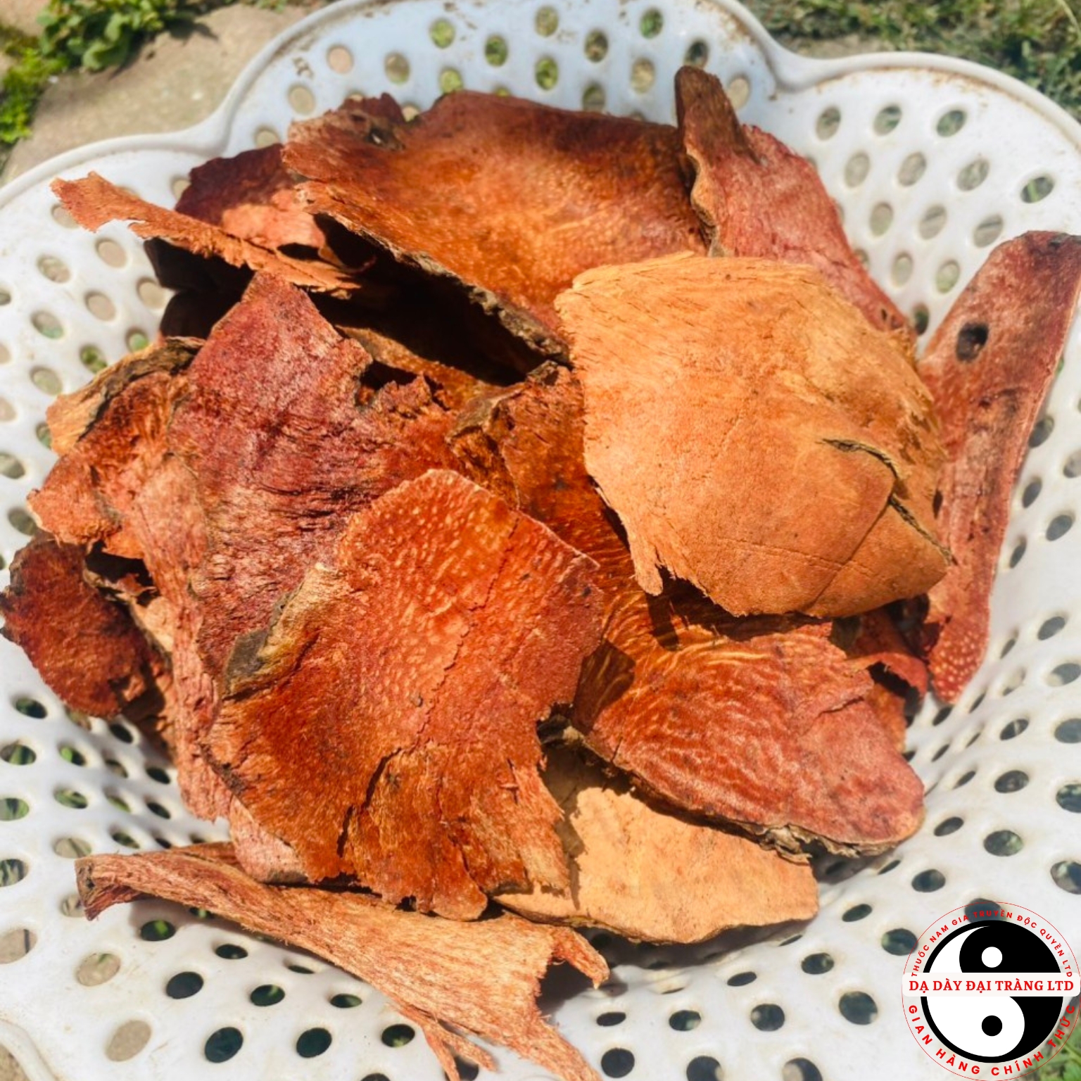 Thổ phục linh, củ khúc khắc đỏ khô khai thác rừng phơi khô từ thổ phục linh, khúc khắc đỏ tươi