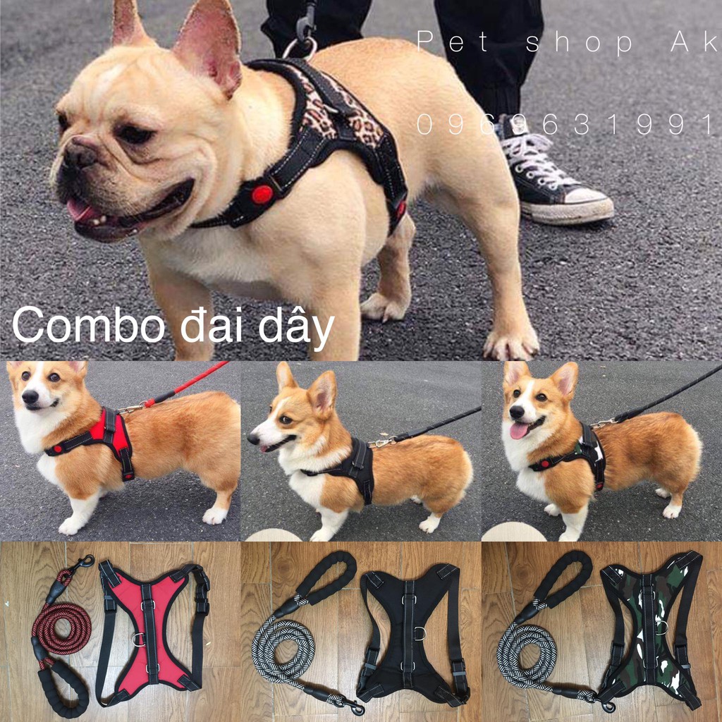 Combo đai yếm + dây dắt cho chó