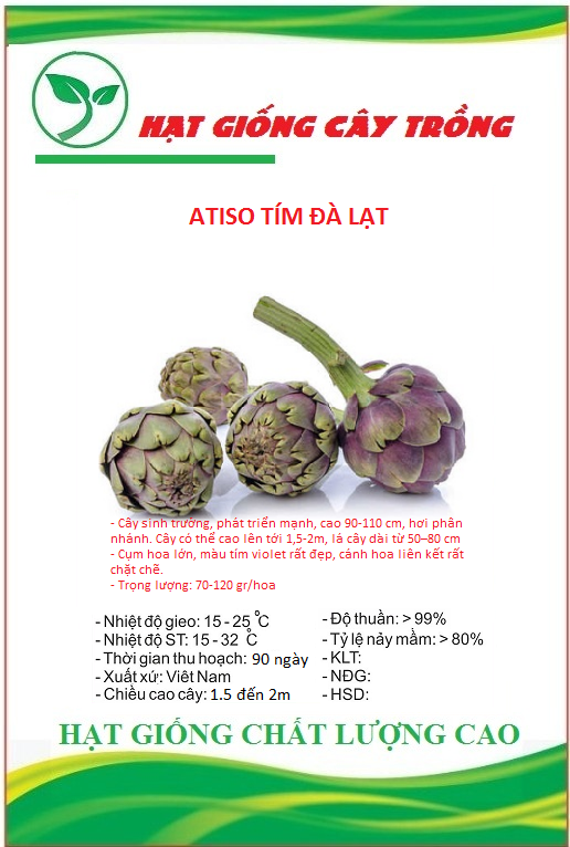 Hạt giống cây atiso tím đà lạt ct224 - gói 5 hạt