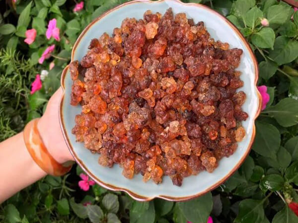 Nhựa đào (mủ đào ) nấu Chè 100g - doanvat_hangduong