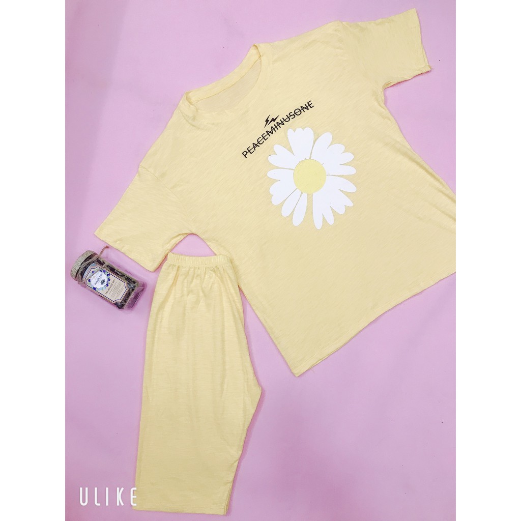 Bộ quần áo hoa cúc xinh xắn -  quần áo mùa hè - đồ lửng