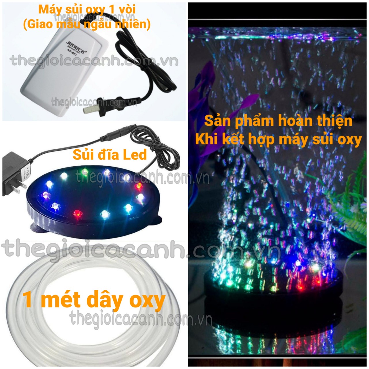 Sủi đĩa oxy kết hợp đèn led cho bể cá