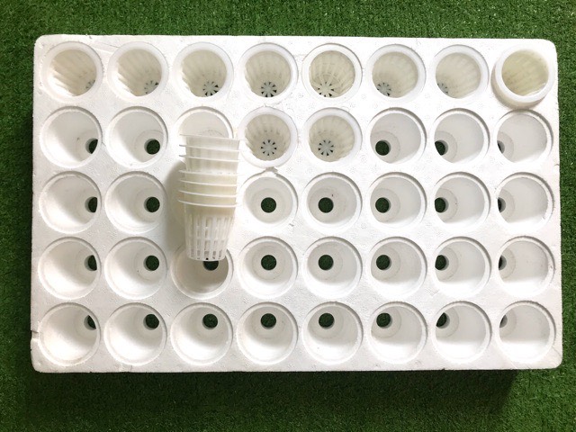 Khay xốp ươm thủy canh 40 lỗ