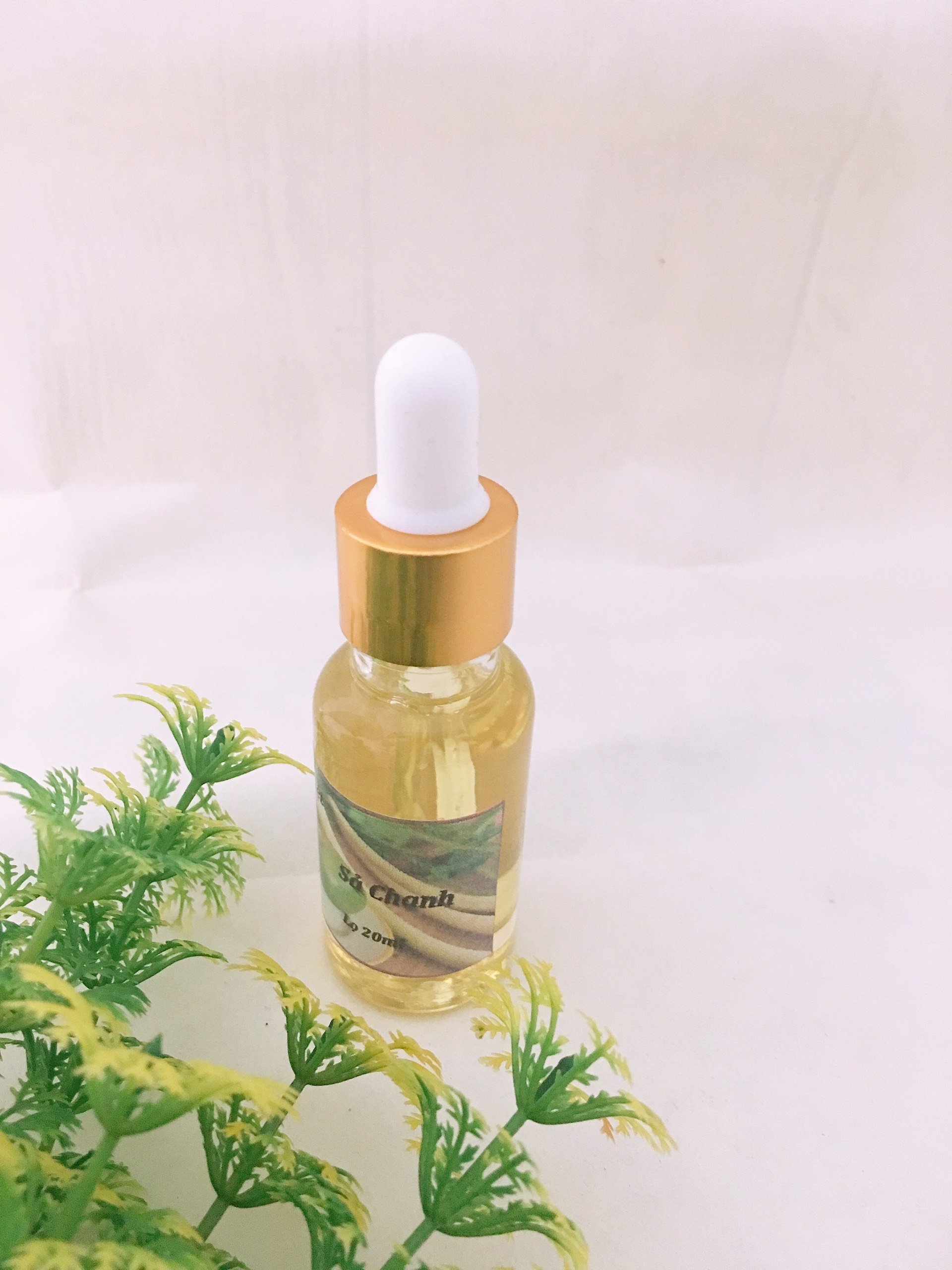 Tinh dầu sả chanh nguyên chất lọ 10ml