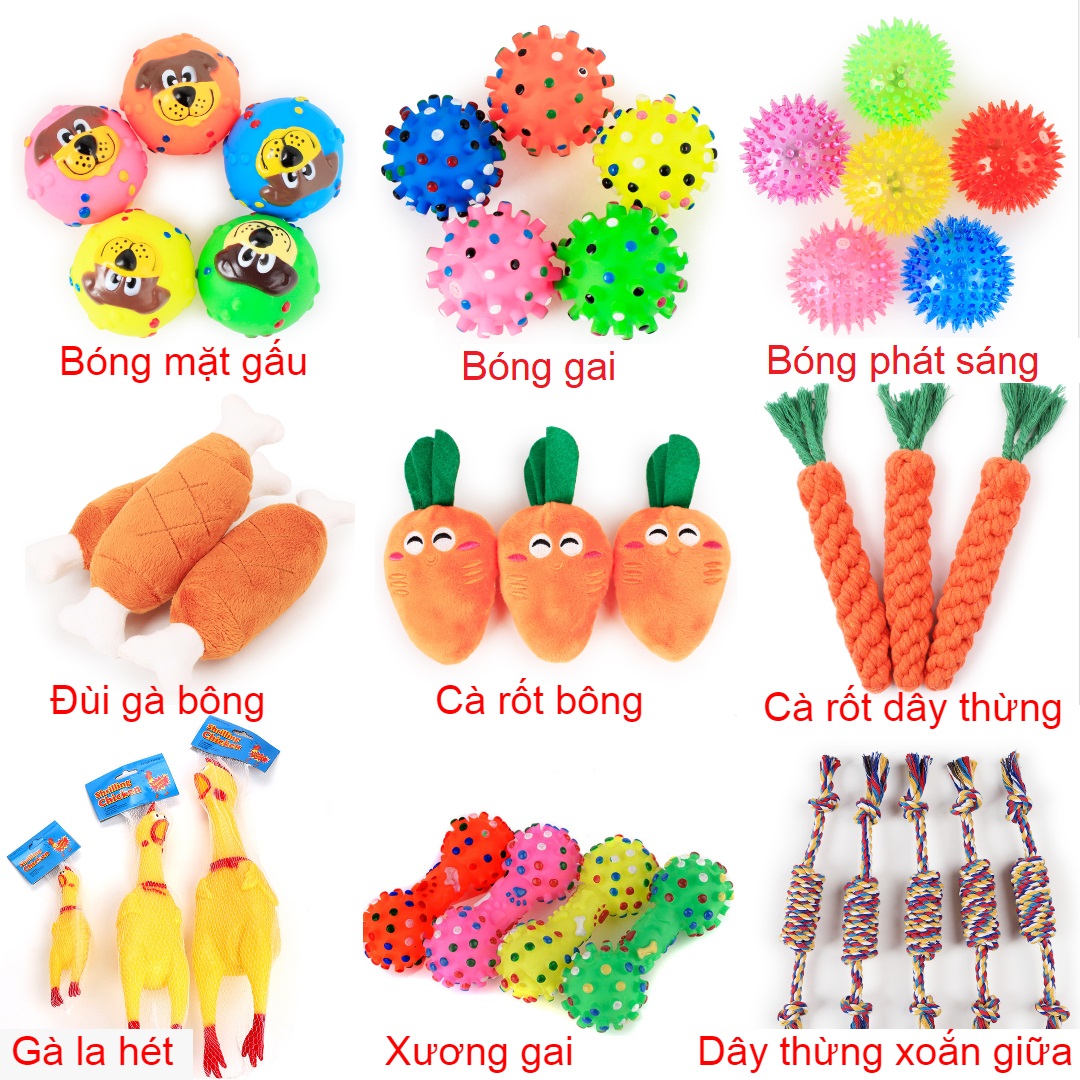 Đồ chơi cho pet giảm stress đồ chơi gặm cắn luyện tập răng đồ chơi tương tác với thú cưng