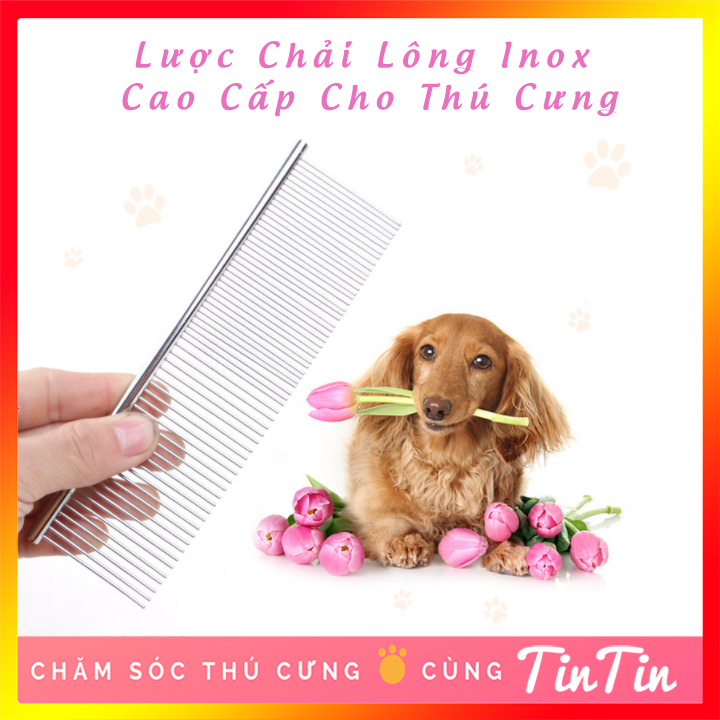 Lược chải lông spa inox cho chó mèo #tintin pet store