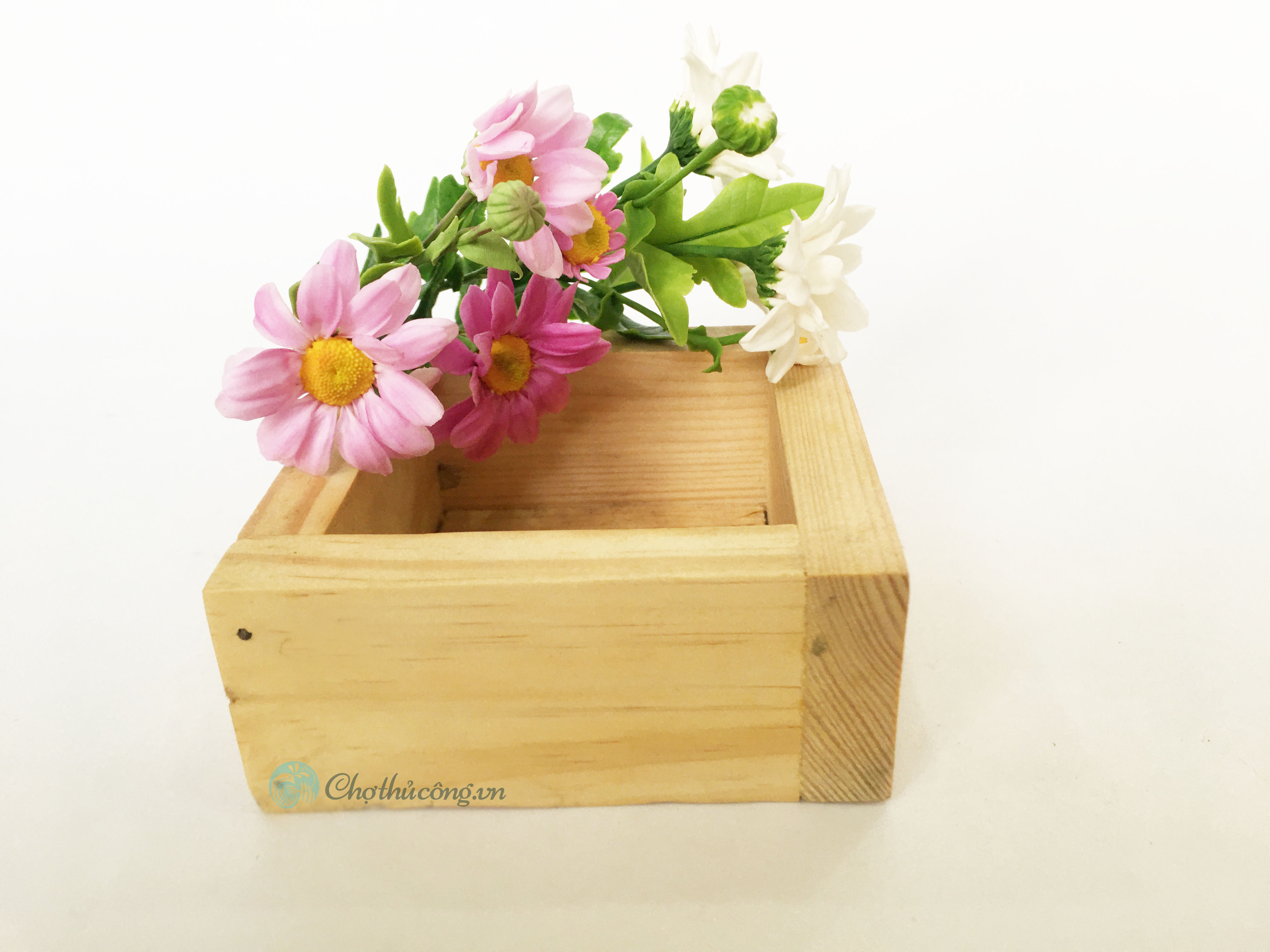 Chậu gỗ thông dùng decor trồng sen đá - Hộp gỗ vuông 10x10x5cm