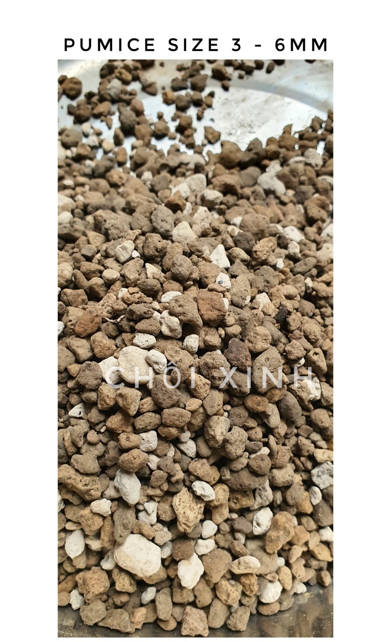 1kg Đá Pumice Đá bọt núi lửa Indonesia size 3-6mm