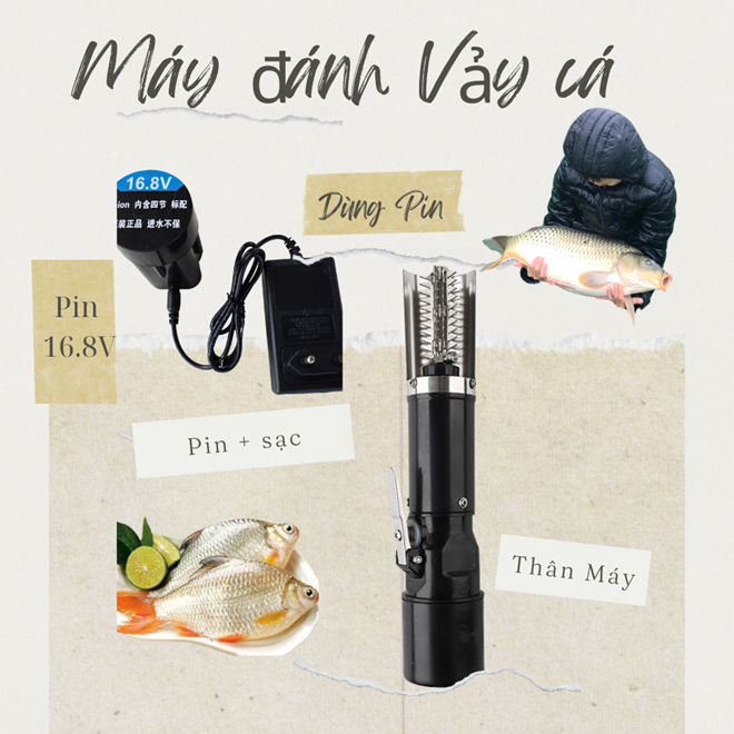 Máy Đánh Vảy Cá dùng Pin   Pin 16.8V  mạnh mẽ- mẫu mới nhất 