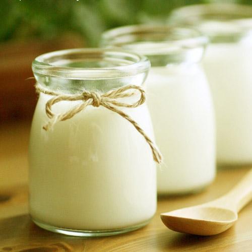 Combo 12 hũ thủy tinh làm sữa chua 100ml
