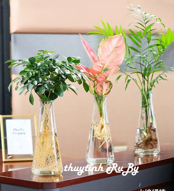 Bộ 3 Bình Bông, Lọ Hoa Thủy Tinh Tam Giác, Chậu Cây Tiên Ông, Lọ trồng cây - Tặng Sợi Dây Dừa Thắt Nơ Dài 100Cm