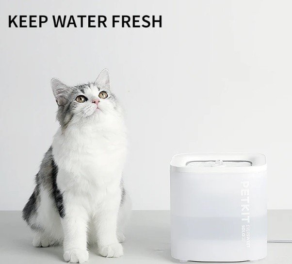 Petkit solo se máy lọc nước thế hệ mới cho thú cưng