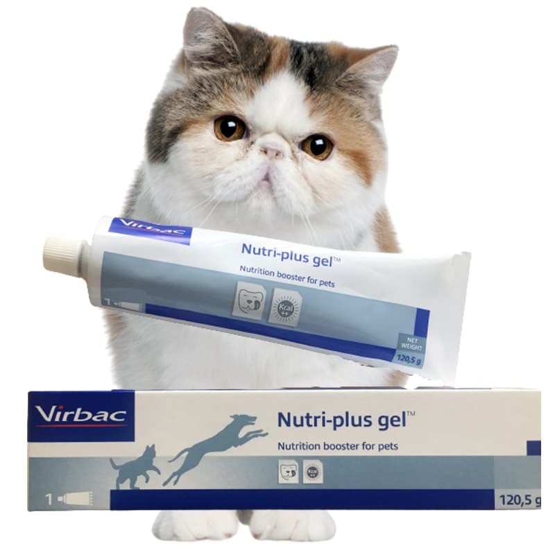 Gel dinh dưỡng Nutri Plus Gel Virbac, Gel dinh dưỡng bổ sung vitamin và khoáng chất cho thú cưng