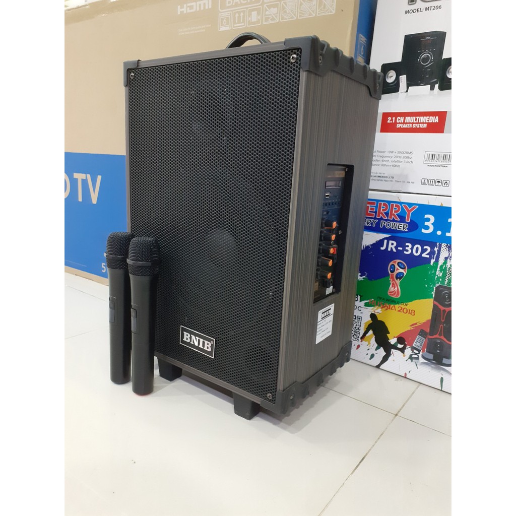 Loa hát karaoke hay giá rẻ, loa di đông bnib T10 tặng 2 míc hát nhẹ, êm