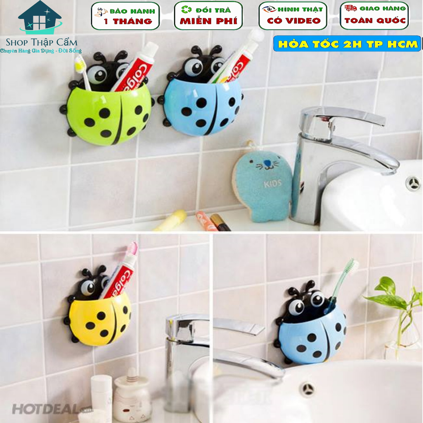 Bọ rùa để bàn chải và kem đánh răng, Ống cắm bàn chải hình bọ rùa dán tường