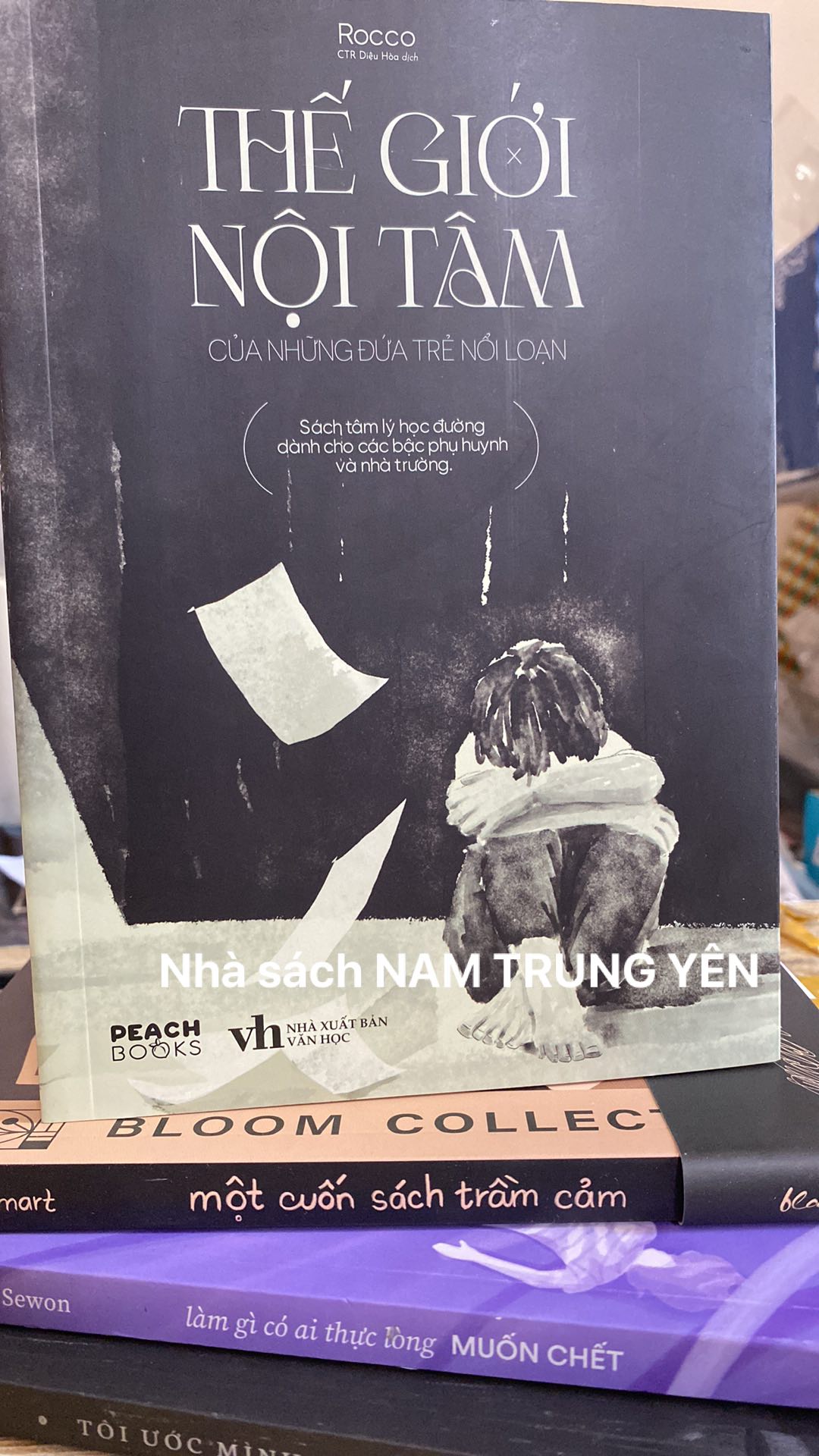 Sách - Thế giới nội tâm của những đứa trẻ nổi loạn - Rocco