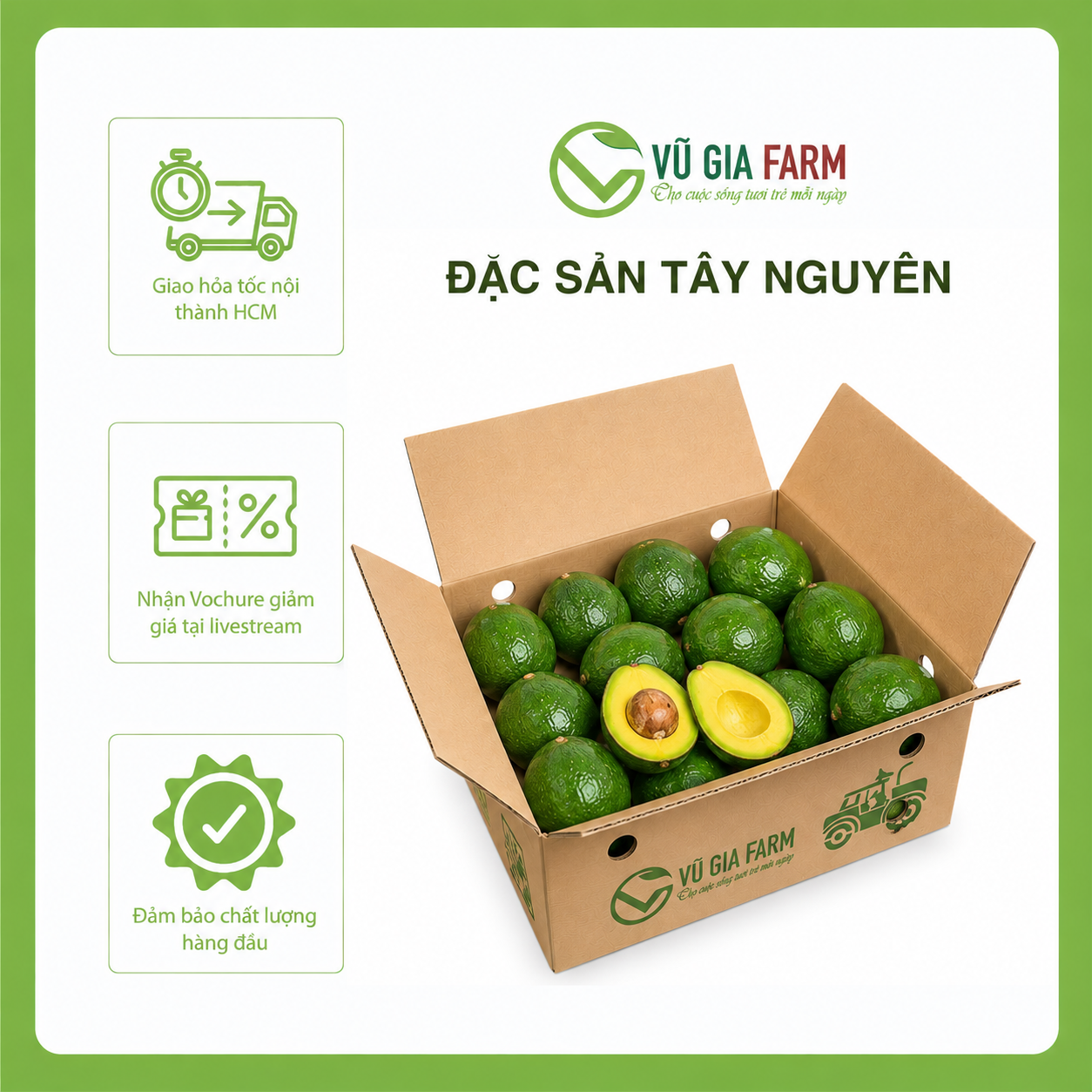 [TOÀN QUỐC] Thùng Bơ Booth/ Bơ 034 Tây Nguyên Vũ Gia Farm - bơ sạch nhà trồng, thu hoạch trực tiếp tại vườn, cơm vàng sáp dẻo ngon lắm ạ