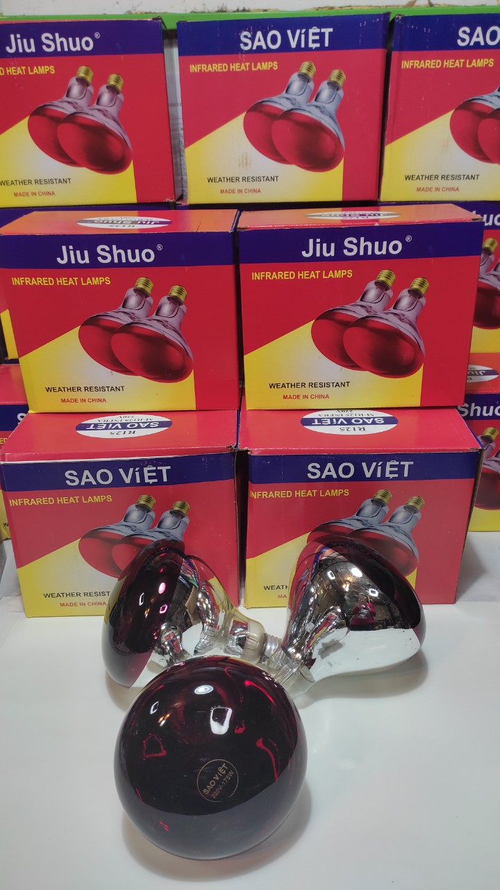 Bóng đèn hồng ngoại úm sưởi cho gia súc gia cầm gà, heo công suất 150W, 175W đui sứ chịu nhiệt, ledhalinh
