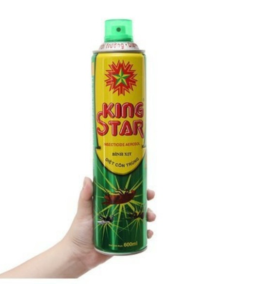Bình xịt muỗi, kiến, côn trùng KING STAR 600ml