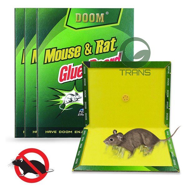 Keo dính chuột mouse glue trap đa năng - bộ 3 miếng dán bẫy chuột siêu dính cao cấp