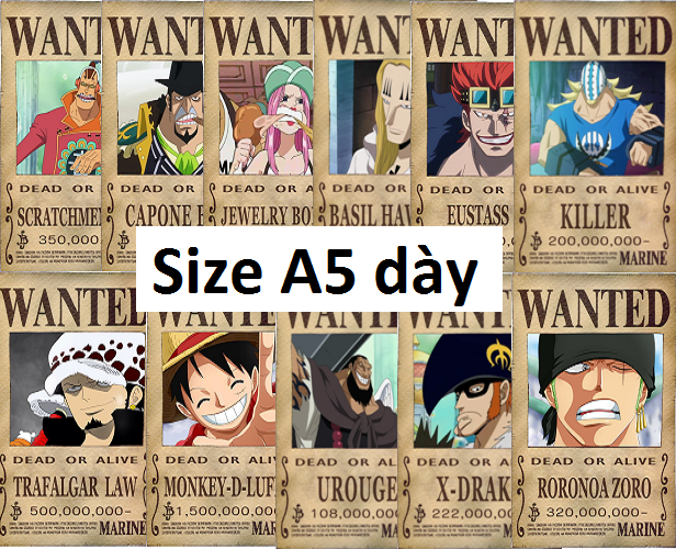 Bộ 11 tấm truy nã siêu tân tinh Onepiece size A5 dày