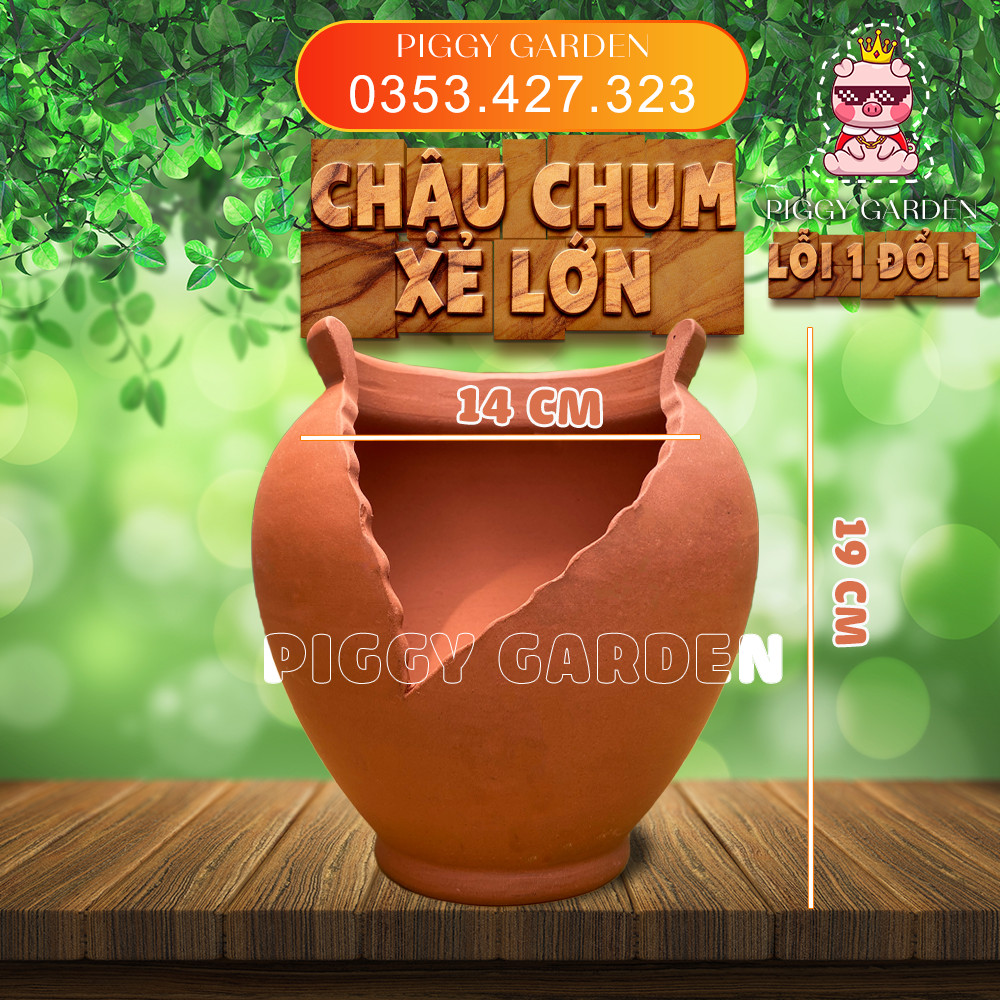 Chậu đất nung - Chậu trồng sen đá, xương rồng - Chậu chum xẻ lớn miệng 14cm, cao 19cm