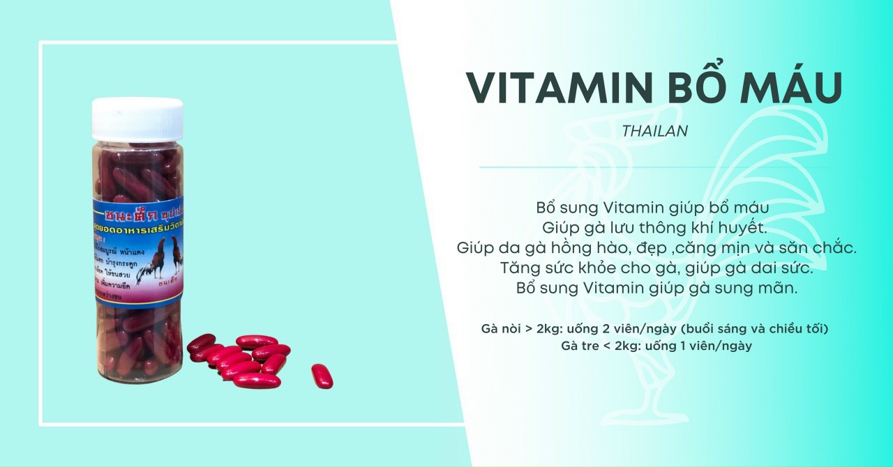Vitamin Bổ Máu Tổng hợp KsM Dinh dưỡng cần thiết hàng ngày của chiến kê,thuốc gà đá Thái lan hiệu quả cao
