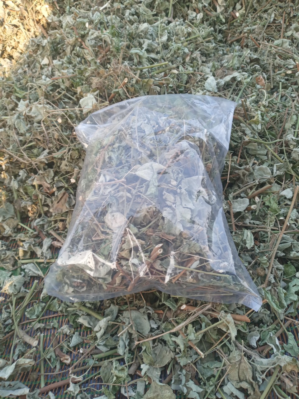 Ké dược liệu 500g phơi khô
