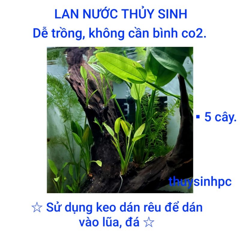 https://vn-live-01.slatic.net/p/67b618fcbc29f2e7d3e24acecc140cf8.jpg