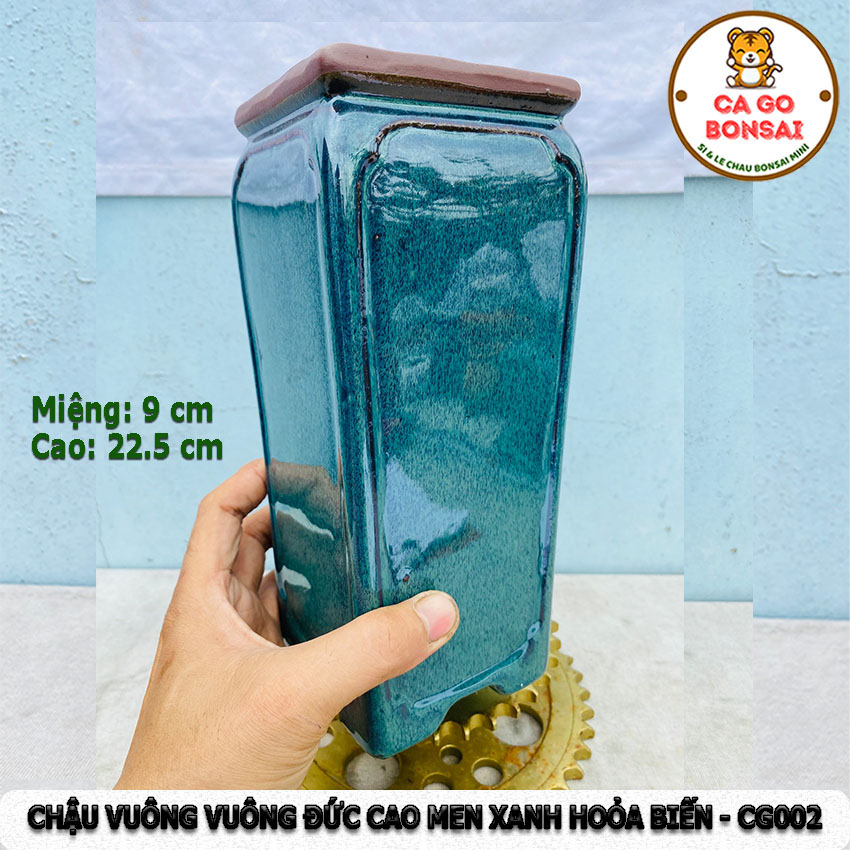 Chậu bonsai mini vuông đứng cao men xanh hỏa biển - cg002