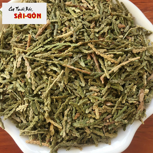 [HCM]TRẮC BÁ DIỆP 100GRAM