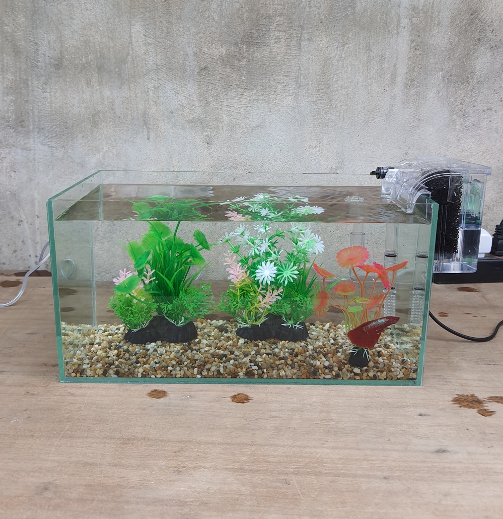 Bể cá 33 cm với 6 món (bể 33cm, sỏi nền, máy lọc, 2 cây nhựa vừa, cây nhựa mini)