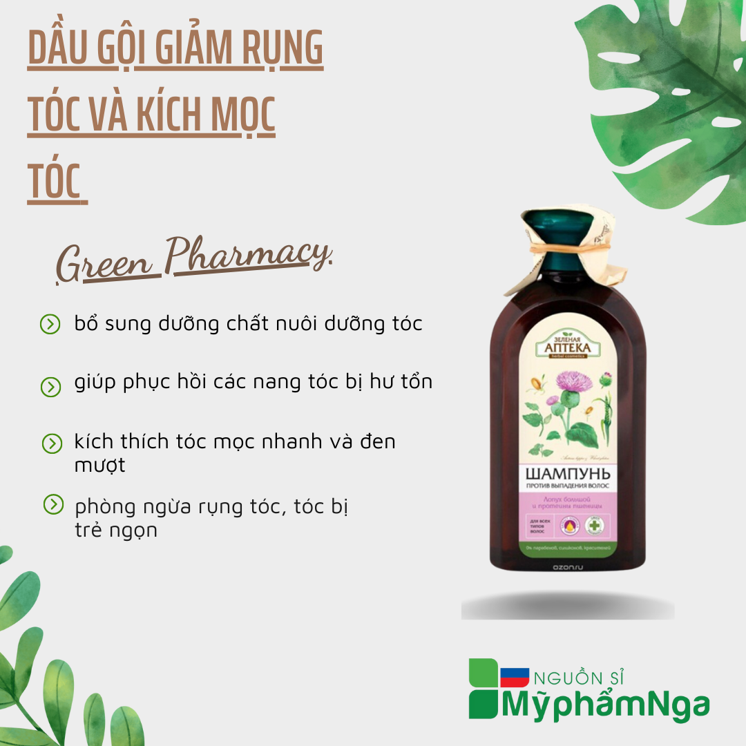 Dầu gội giảm rụng tóc và kích mọc tóc Green Pharmacy
