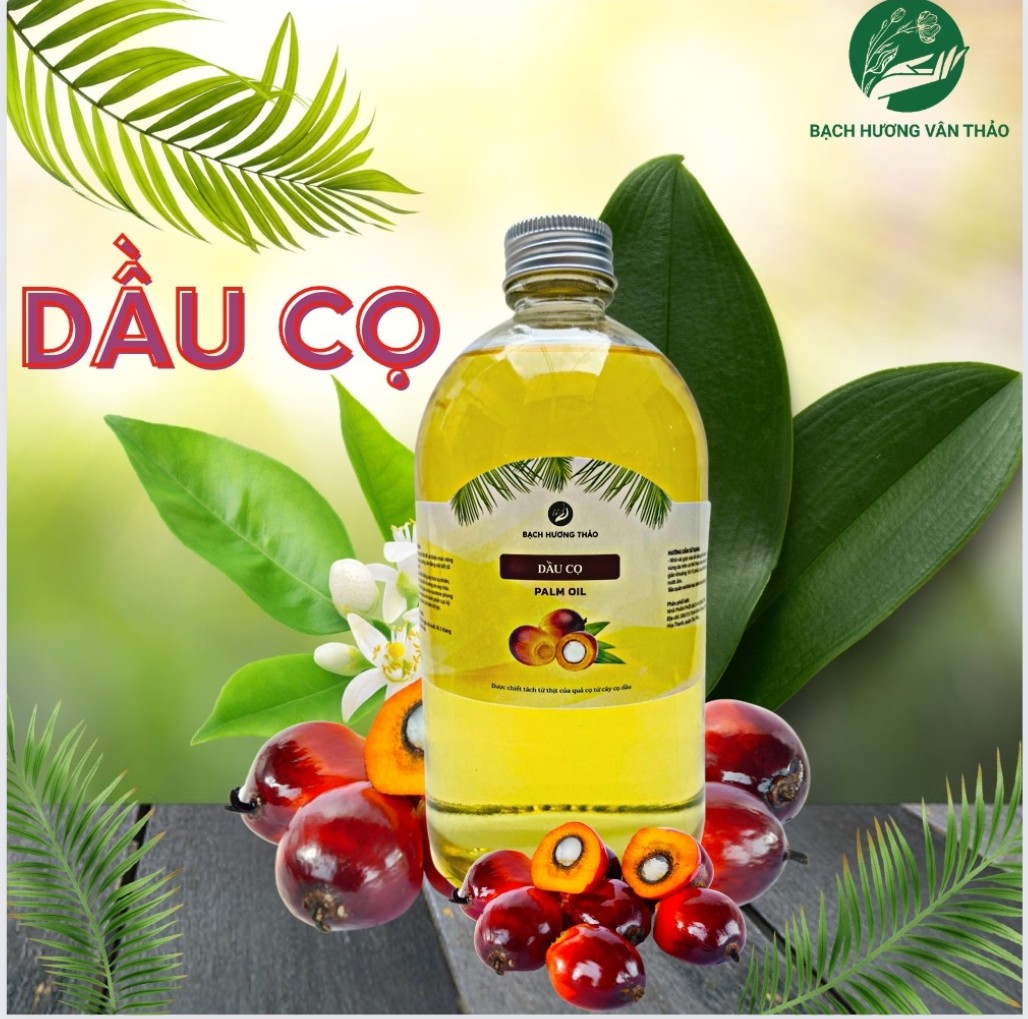 DẦU CỌ nguyên chất, Palm oil , dầu thực vật, dầu nền mỹ phẩm, làm xà phòng, handmade soap, dầu massage, dưỡng da, làm đẹp, sức khoẻ, cung cấp vitamin, nguyên liệu mỹ phẩm, BẠCH HƯƠNG VÂN THẢO