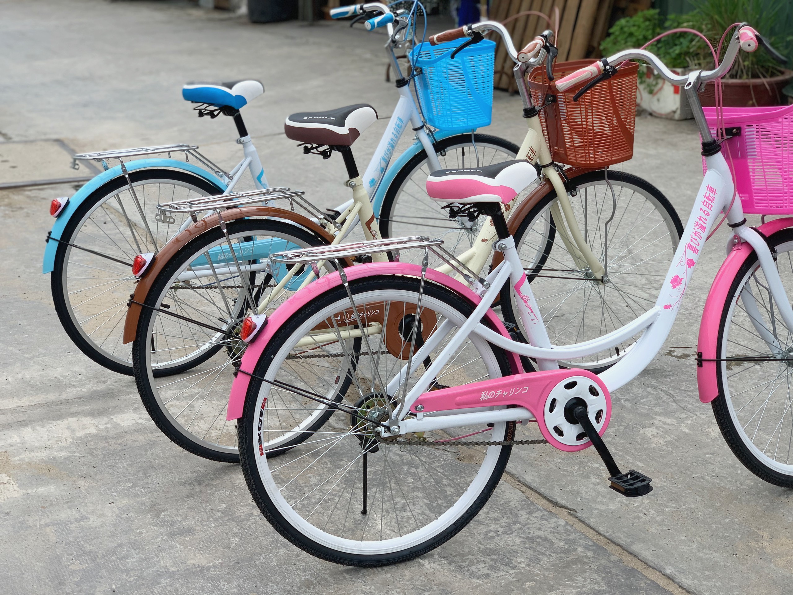 Xe đạp mini Nhật giá bao nhiêu và cụ thể từng dòng